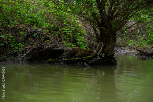 Danube Delta in the spring