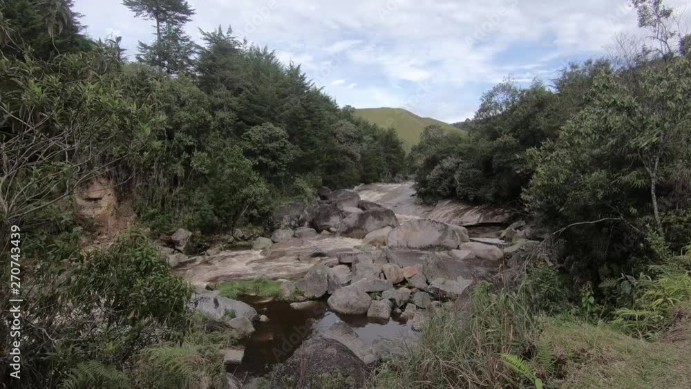River Flowing on Rocks, forest colombia River Flowing on Rocks, forest colombia