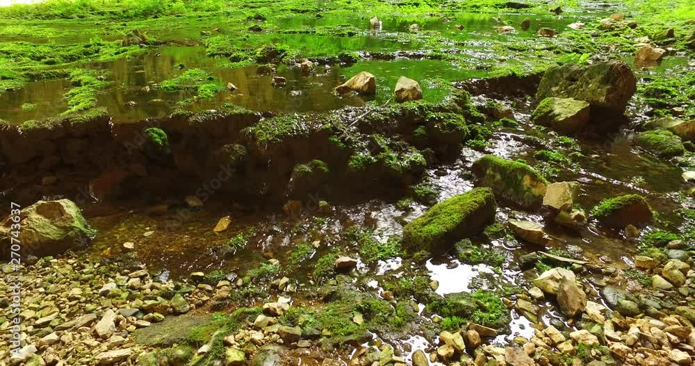 Small brook from a river in a cave Small brook from a river in a cave