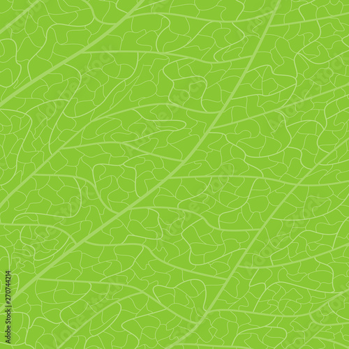 Background texture leaf. Vector illustration. EPS 10