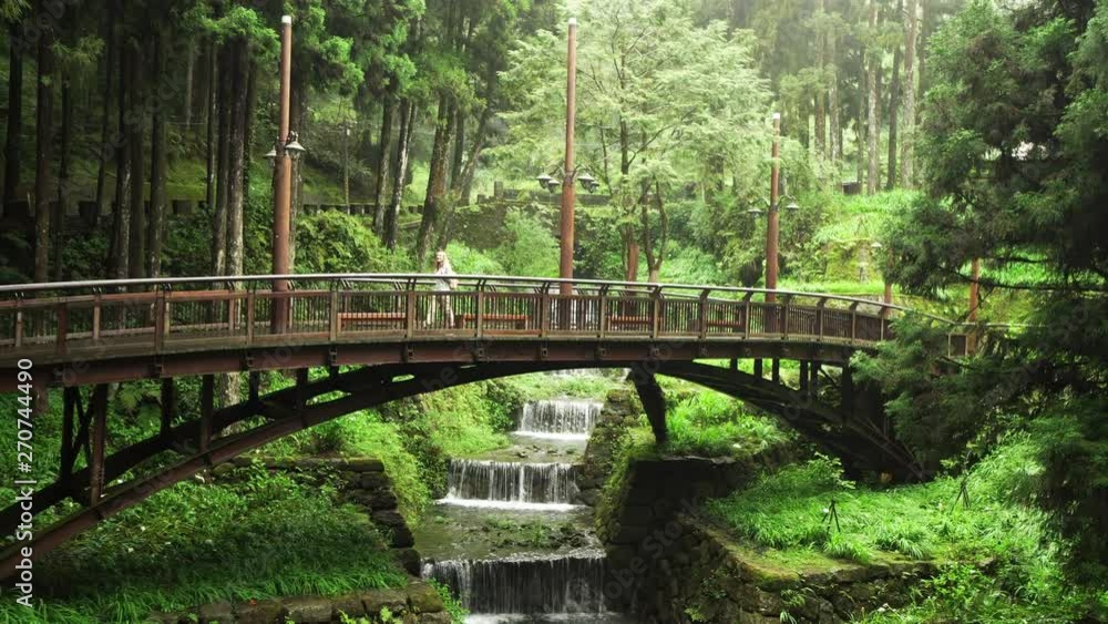 Blonde Caucasian Female Foreign Tourist Visit Alishan Scenic Area Walking along Well-Built Road and Bridges with Good Infrastructure Through Beautiful Forest and Enjoying Nature in Taiwan