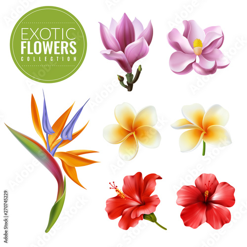 raelistic exotic flowers set
