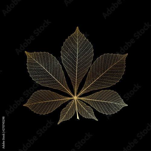 Leaf chestnut, isolated. Vector illustration. EPS 10