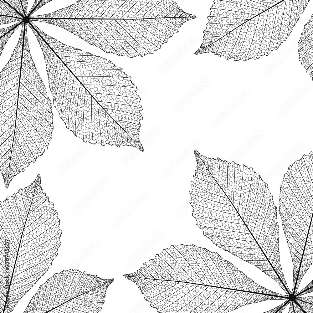 Beautiful background with green chestnut leaves . Vector illustration. EPS 10