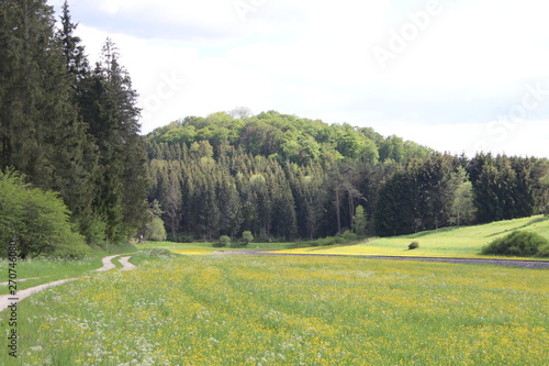 Landschaft im Biosph  rengebiet Baden W  rttemberg