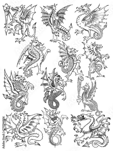 Hand Drawn Heraldic Dragon Vector design collection