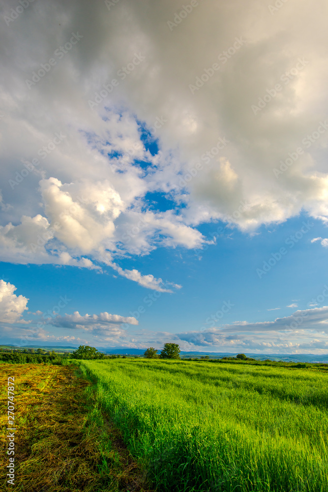 Fototapeta premium White clouds and blue sky