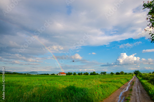 Beautiful rainbows