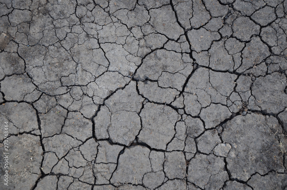 Dried cracked earth soil ground texture background. Mosaic pattern of sunny dried earth soil Dried cracked earth soil ground texture background. Mosaic pattern of sunny dried earth soil