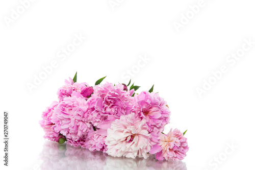 bouquet of blooming peonies on white background