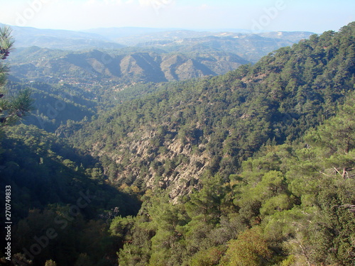 Panorama of a mountain forest on the top of a mountain range under the rays of a rising sun against the background of boundless blue mountain ranges on the horizon.