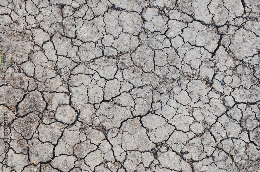 Dried cracked earth soil ground texture background. Mosaic pattern of sunny dried earth soil Dried cracked earth soil ground texture background. Mosaic pattern of sunny dried earth soil