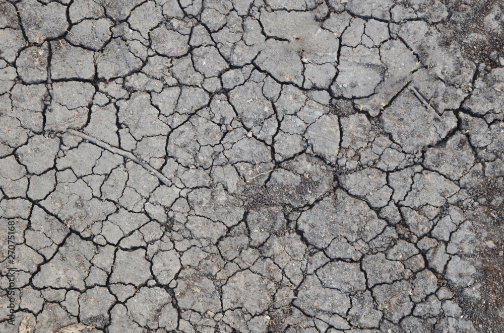 Dried cracked earth soil ground texture background. Mosaic pattern of sunny dried earth soil Dried cracked earth soil ground texture background. Mosaic pattern of sunny dried earth soil