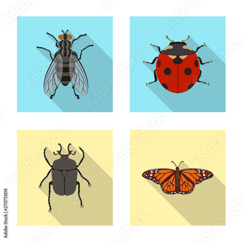 Isolated object of insect and fly icon. Collection of insect and element vector icon for stock. © Svitlana