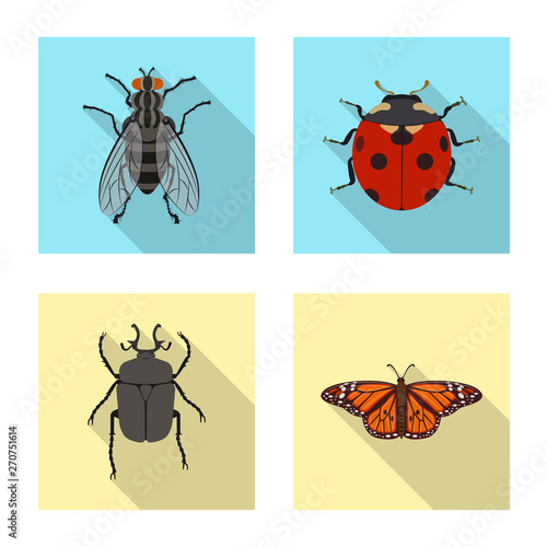 Isolated object of insect and fly icon. Collection of insect and element vector icon for stock.