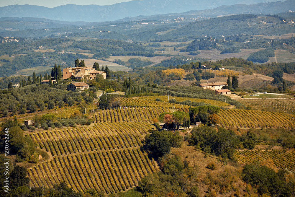 Obraz premium Tuscany landscape with hill, house and vineyard..