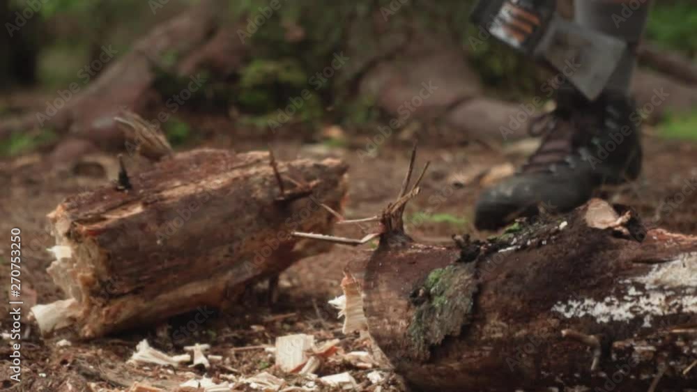 Axe Chopping Log in Half in Woods Slow Motion Axe Chopping Log in Half in Woods Slow Motion