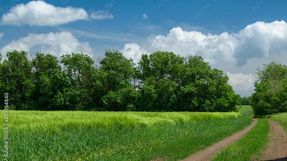 Ground road in the wheaten field and beautiful cloudy. Spring landscape. Ground road in the wheaten field and beautiful cloudy. Spring landscape.