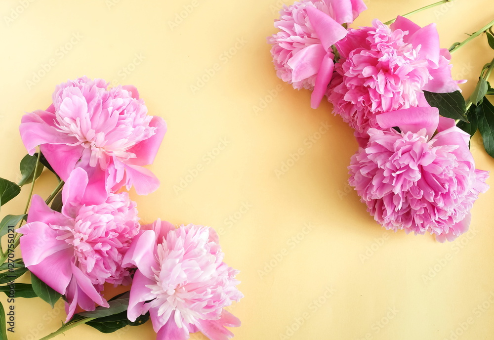 Bouquets of pink flowers peonies frame on pale yellow background. top view. copy space Bouquets of pink flowers peonies frame on pale yellow background. top view. copy space