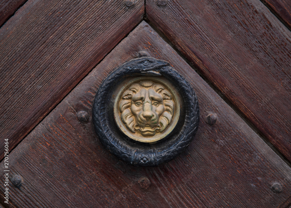 Former knocker at the head of a metal lion on a wooden door Former knocker at the head of a metal lion on a wooden door