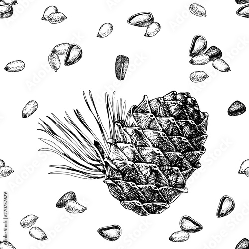Seamless pattern with hand drawn cedar bump and pine nuts