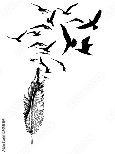 Hand drawn seagull feather with flying bird silhouettes