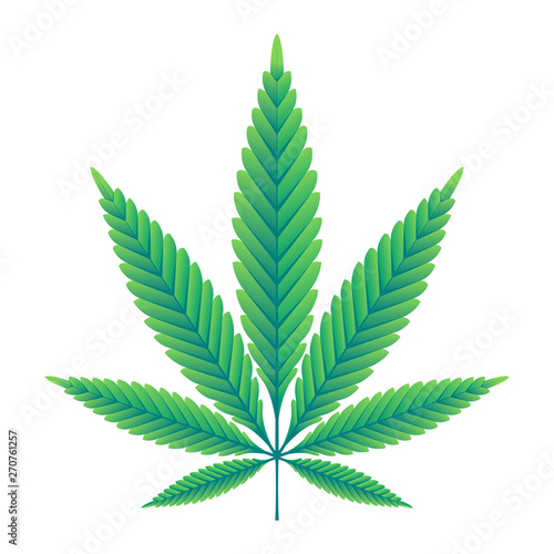 Green Hemp leaf vector illustration