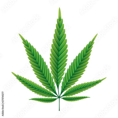 Green Hemp leaf vector illustration