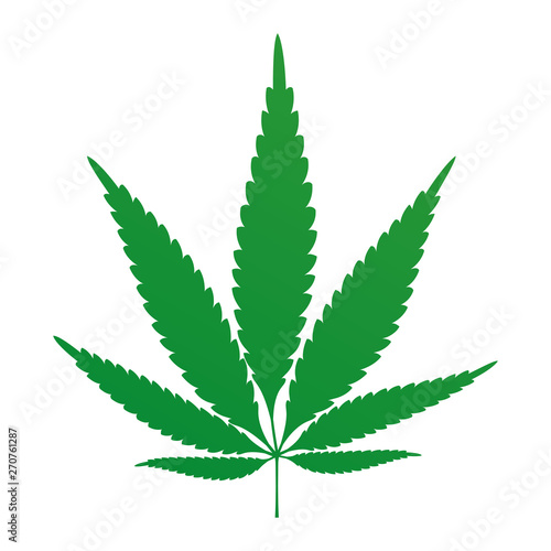 Green Hemp leaf vector illustration