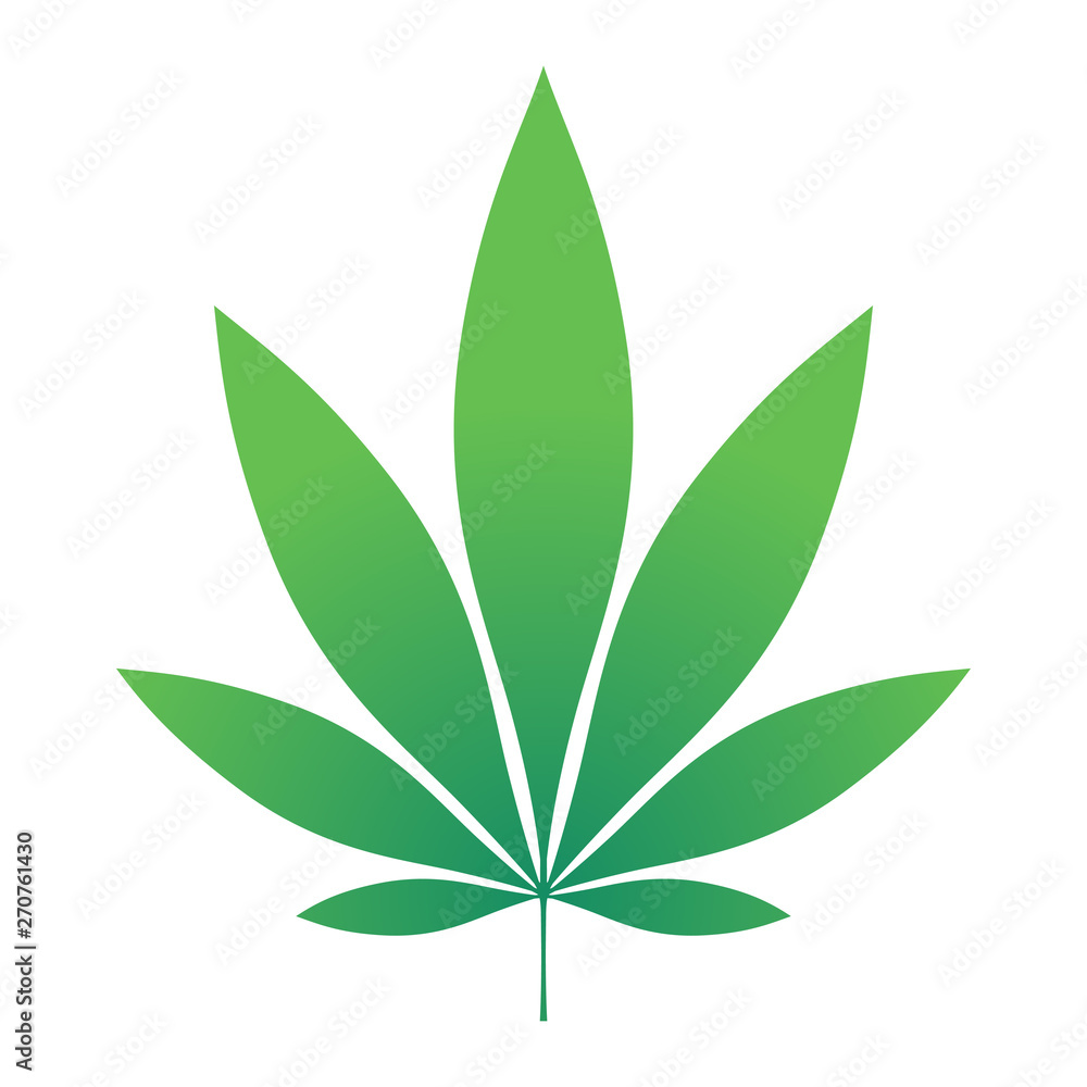 Naklejka premium Green Hemp leaf vector illustration