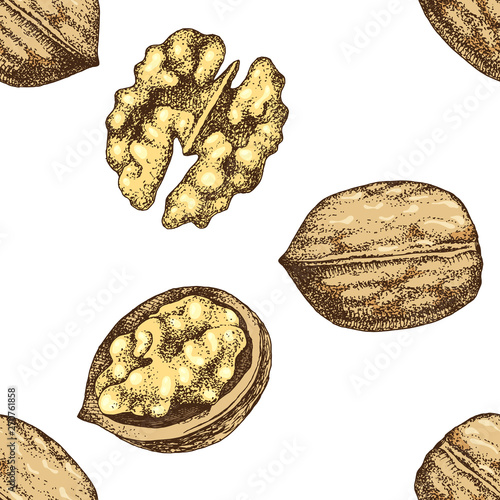 Seamless pattern with hand drawn walnut nuts