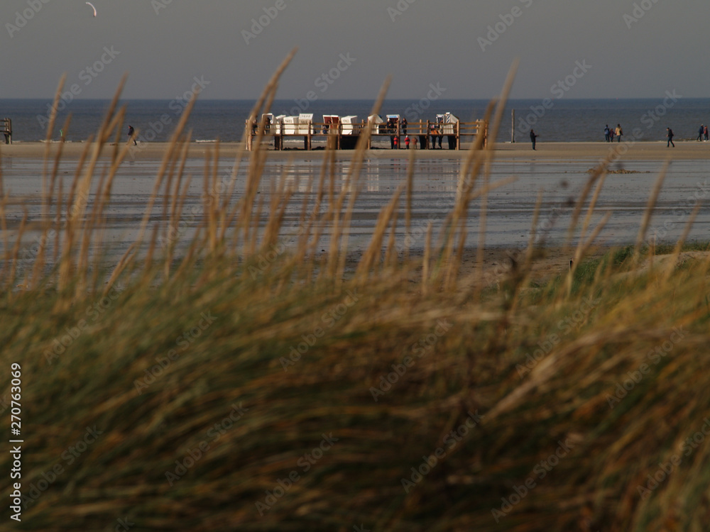 beach buildings in St. Peter-Ording seen through beach grass.