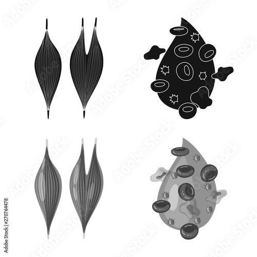Vector design of biology and scientific symbol. Collection of biology and laboratory stock symbol for web.