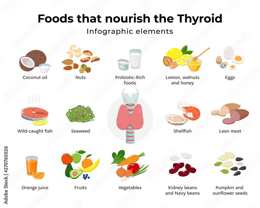 Healthy foods for thyroid, set of food icons in flat design isolated on white background. Food that nourish the thyroid infographic elements and Thyroid gland on larynx and trachea vector illustration