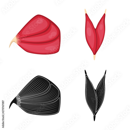 Isolated object of fiber and muscular icon. Collection of fiber and body  vector icon for stock.