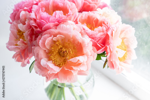 Coral peonies. Flowers in a vase on a white windowsill. Morning light in the room. Beautiful peony flower for catalog or online store. Floral shop and delivery concept .