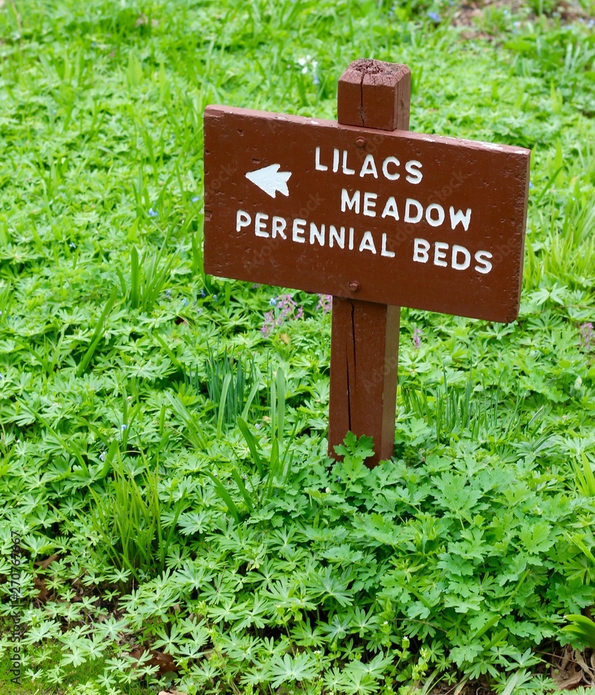 A small wood lilacs meadow sign in the green grass.