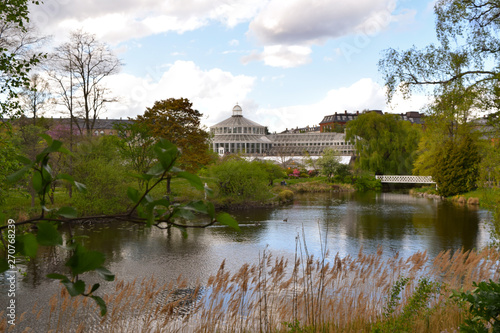 lake in the park