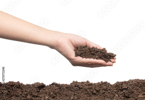 Foto hand to plant seedlings into fertile soil isolated on white background