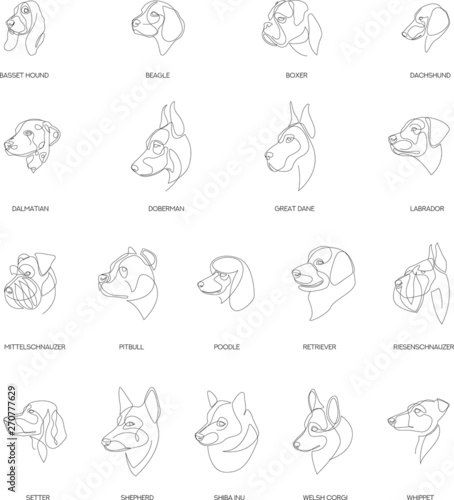 Breeds of dogs drawn in minimal style set. One line dogs. Vector illustration.