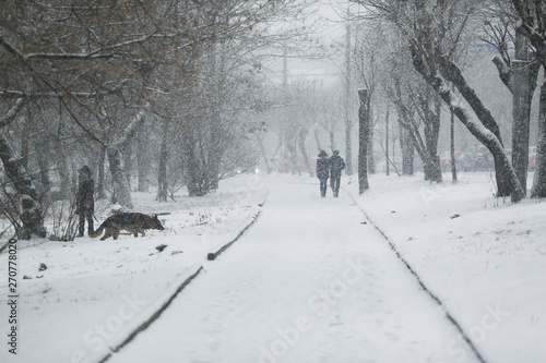 People walk along the paths in the snowfall in the winter season. © alexhitrov