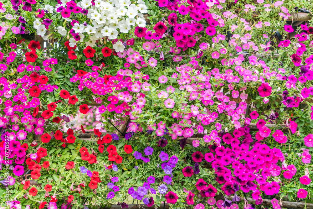 Beautiful flowers background