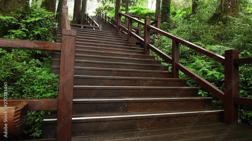 Wooden Walkway Through Alishan National Park. Well Built Path with Stairs for Tourists in Forest with Developed Infrastructure. Recreational Area for Safe and Comfortable Hiking in Taiwan Wooden Walkway Through Alishan National Park. Well Built Path with Stairs for Tourists in Forest with Developed Infrastructure. Recreational Area for Safe and Comfortable Hiking in Taiwan