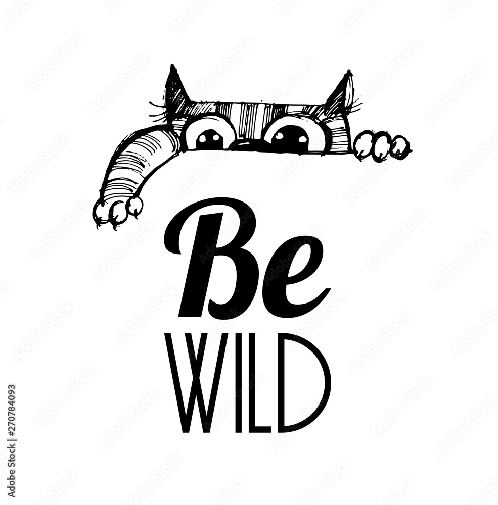 hand drawn vector sketch of funny cats hand drawn vector sketch of funny cats