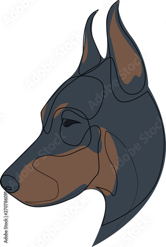 Continuous line Doberman Pinscher. Single line minimal style Doberman dog vector illustration. Portrait