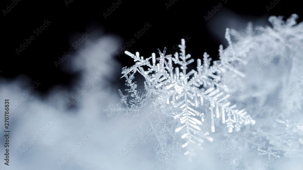 snowflake, little snowflake on the snow snowflake, little snowflake on the snow