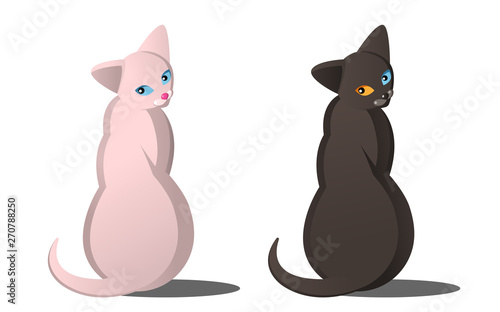 Bald cat of sphinx of light color with blue eyes and dark cat with different eyes. Two cats of different colors. Heterochromia in cats. Stylish vector flat. Suitable for breeders and exhibitions.
