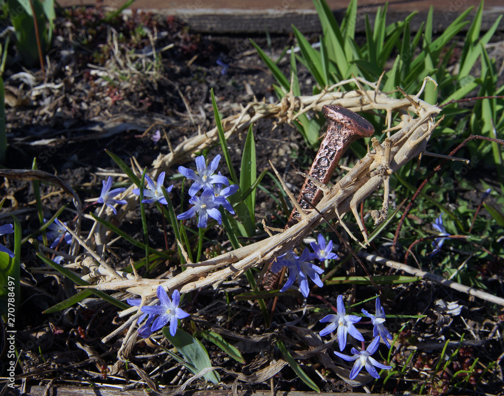 Dornenkrone mit Blumen und nagel Dornenkrone mit Blumen und nagel