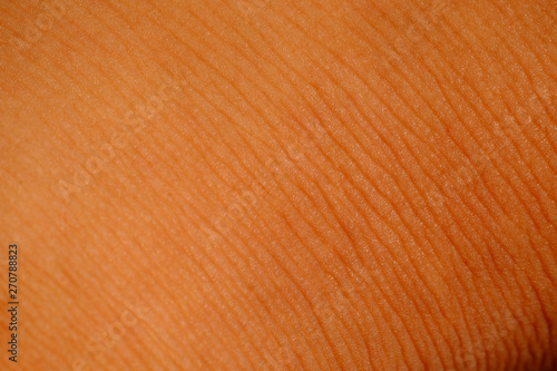 macro human skin texture, foot skin