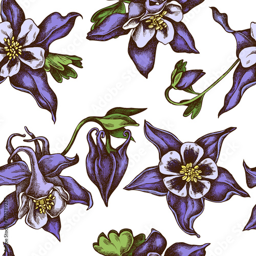 Foto Seamless pattern with hand drawn colored aquilegia